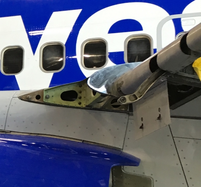 The aircraft wing shows the bird-damaged region close to the fuselage.