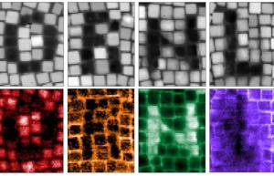 Nanoscale Materials