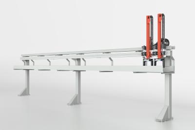 LP 100 Gantry Robot System