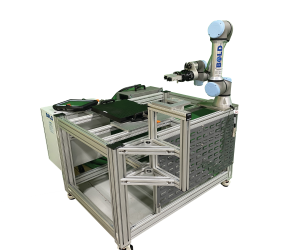 UR Robotic Platform for Laser Based Microfabrication Applications