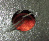 Frayed hole.tif