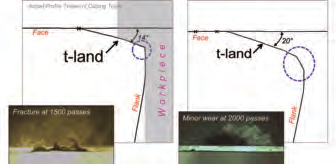 Tland to flank edge break.tif 