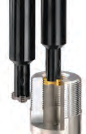 Carmex%20CMT%20application.tif