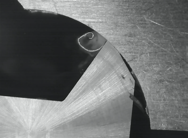Image from Blaser tests every chip in detail with unique test strategy