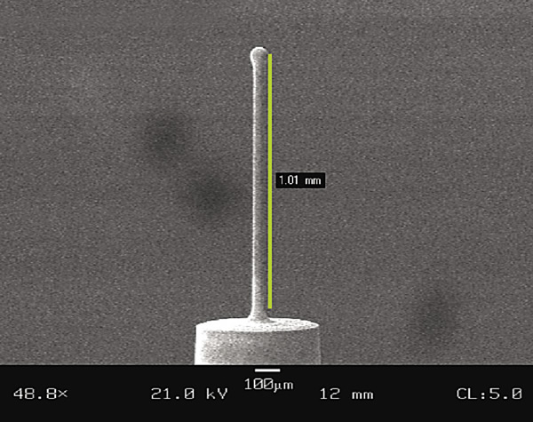 This microprobe uses the This microprobe uses the