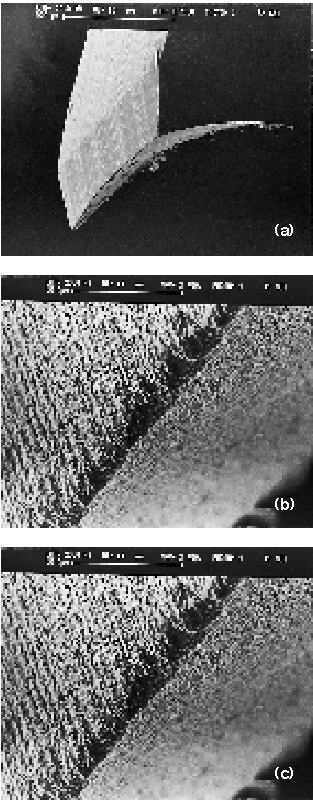 What Makes Diamond Coatings Work?