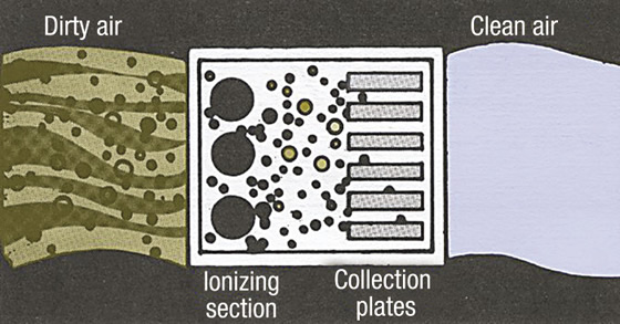 CAC-Cell%20Description.tif