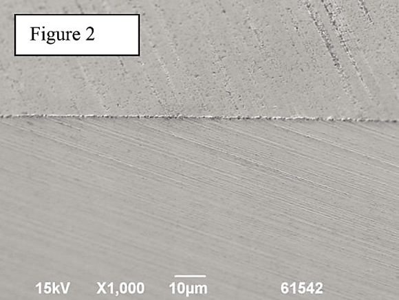 Figure%202.tif