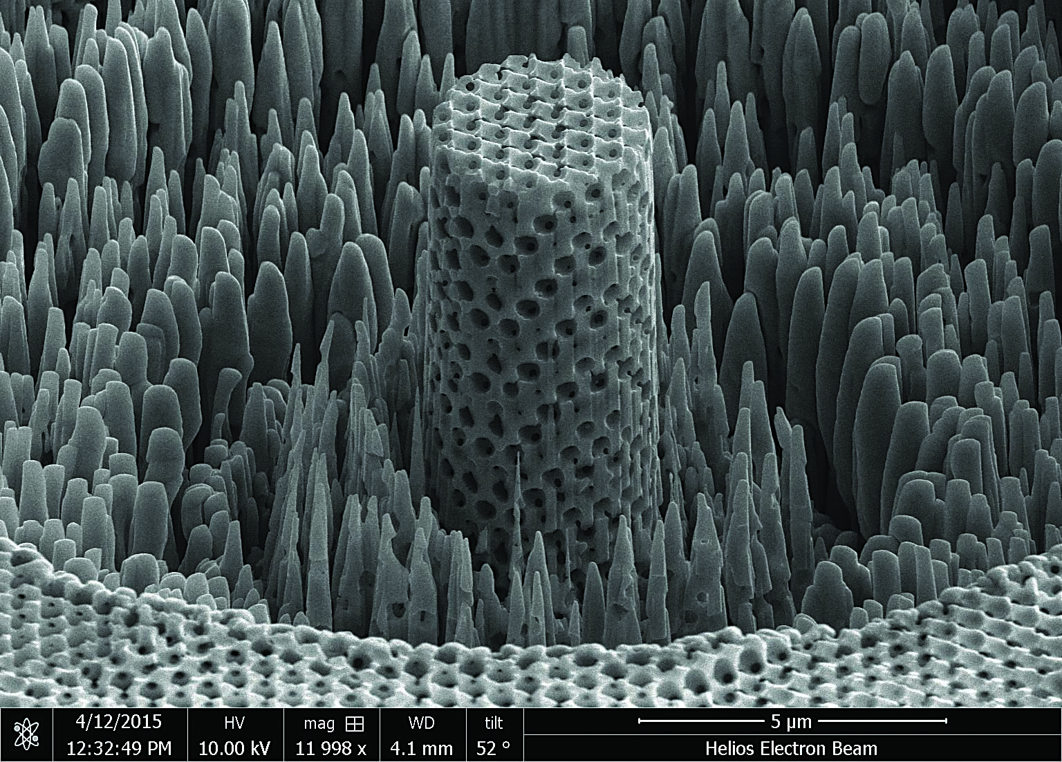 Researchers find strengths in ‘metallic wood’
