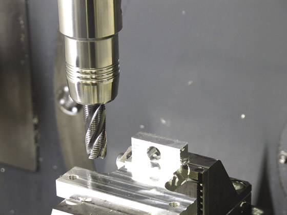 Schunk%20-%20IMG_6411.tif 