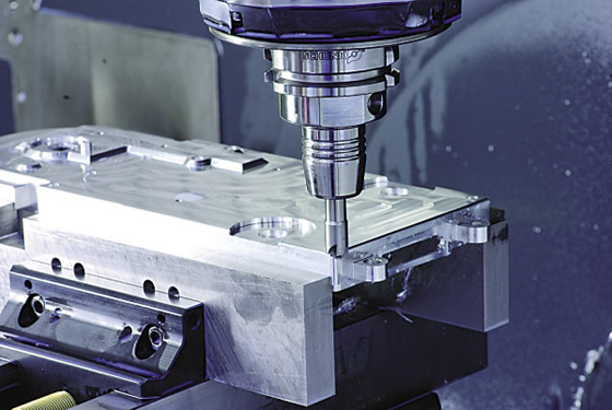 Schunk_PLATINUM.tif