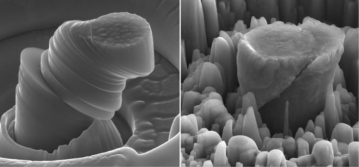 Scanning electron microscope images of a deformed sample of pure metal (left) and the new metal made of magnesium with silicon-carbide nanoparticles (right). Each central micropillar is about 4µm across. Images courtesy UCLA Scifacturing Laboratory.