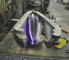 MGS_Mold_01.tif