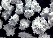 Silver Lining: Safety, Standards & Compliance