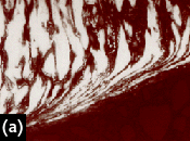 Machinability of Sintered Steel