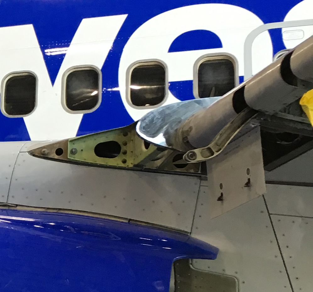 Aircraft wing showing bird damaged region close to fuselage