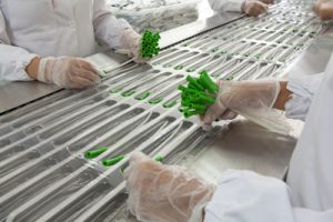 UI study: Fresh inspectors improve medical manufacturing