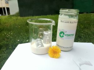 BioCorr HP