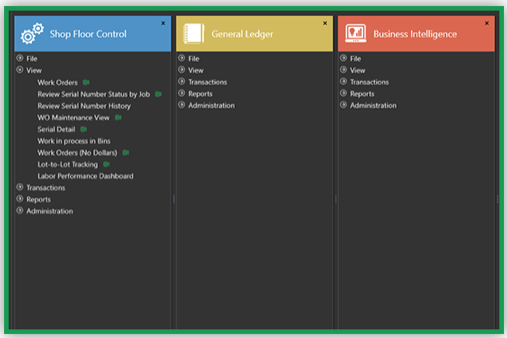 Fast Track ERP Implementation